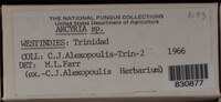 Image Associated With the Occurence